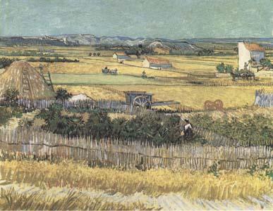Vincent Van Gogh Harvest at La Crau,with Montmajour in the Background (Blue Cart) (mk09) Germany oil painting art